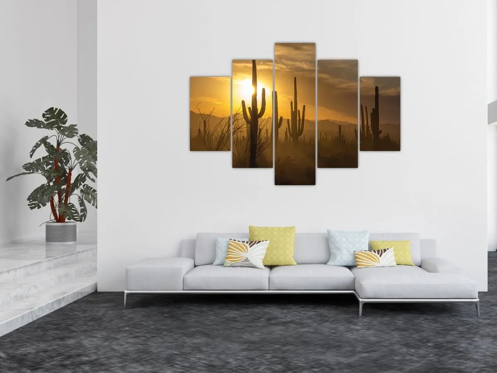 Obraz - Kaktusy Saguaro (150x105 cm)