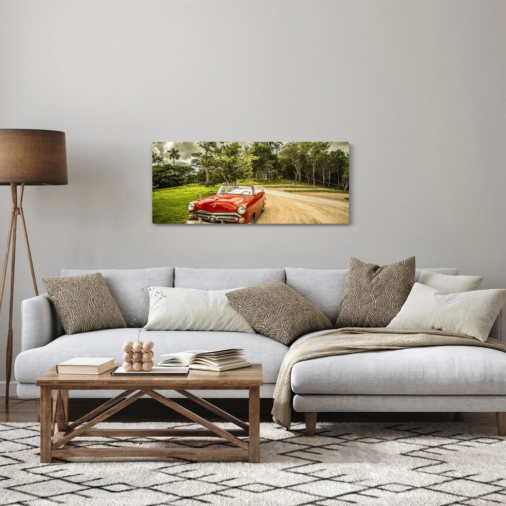 Obraz - auto veterán v prírode (120x50 cm)