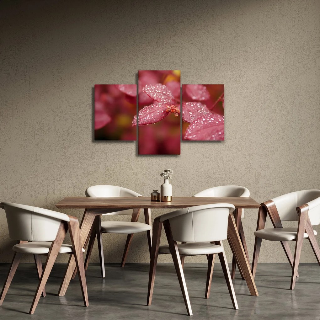 Obraz - Makro snímka lístka (90x60 cm)