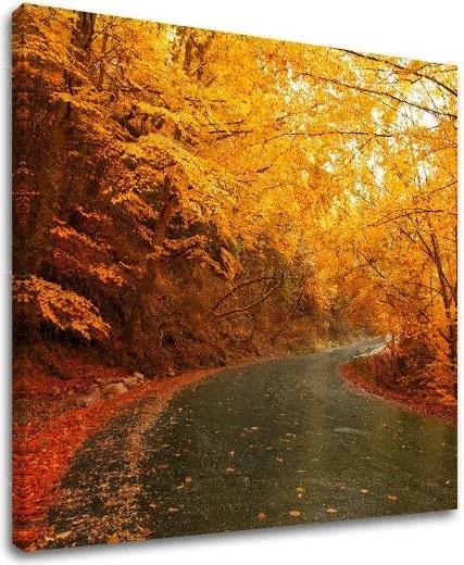 Obraz na stenu STROMY