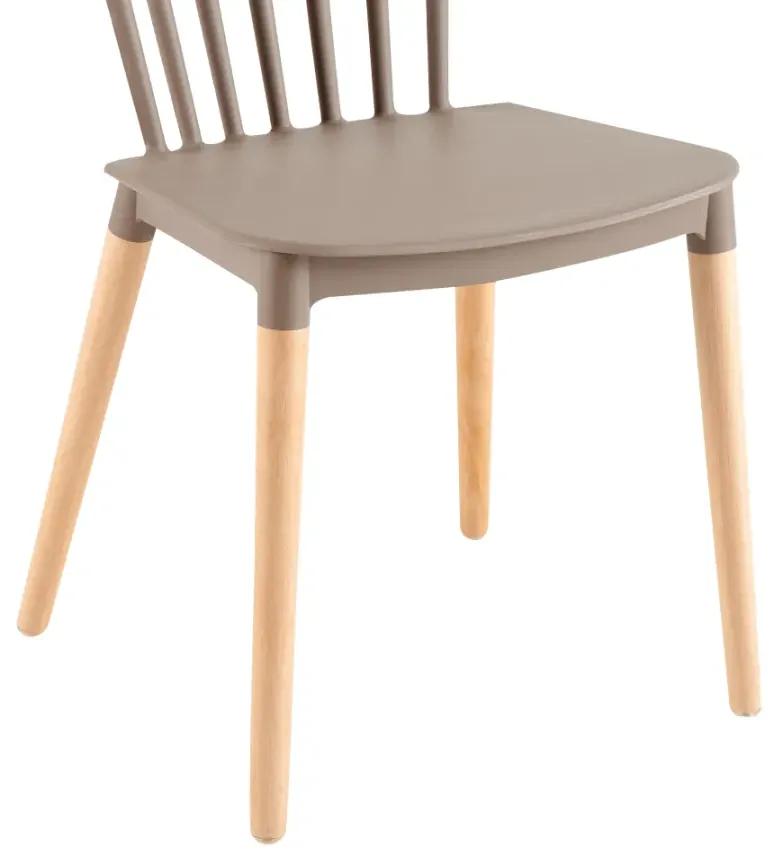 Jedálenská stolička, sivá/buk, ZOSIMA