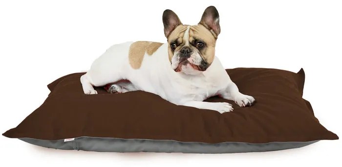 Peliešok pre psa Plyš Farba: Bežový, Veľkosť: 50x70 cm