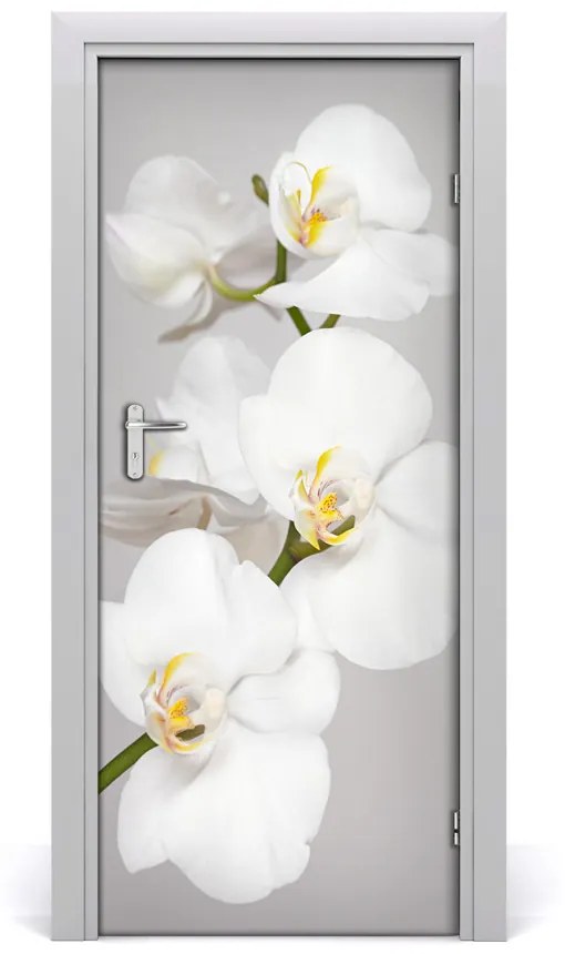 Fototapeta na dvere biela orchidea 75x205 cm