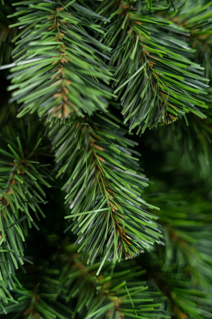 Vianočný stromček- Smrek prírodný na dreve 210 cm