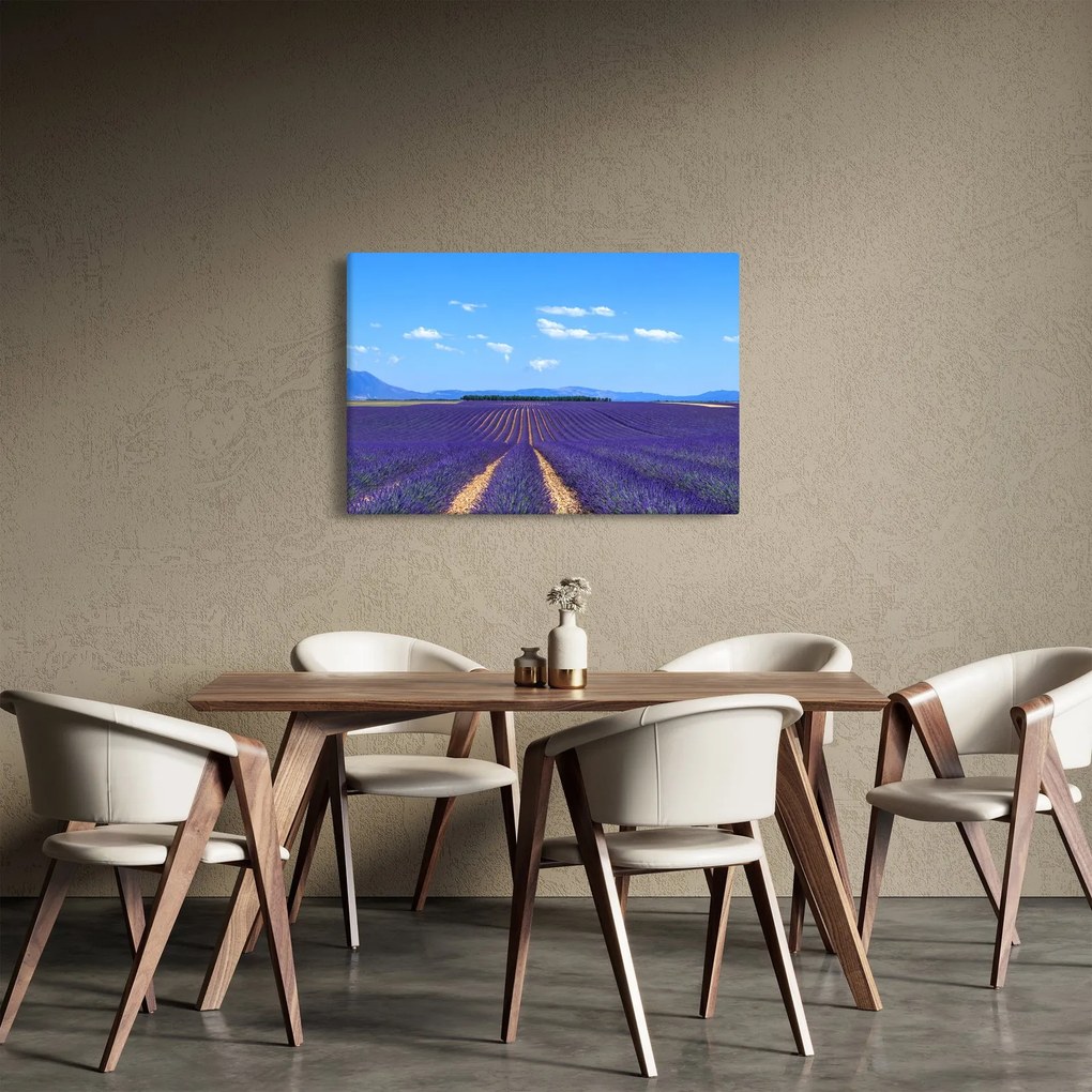 Obraz - Levanduľové pole (90x60 cm)