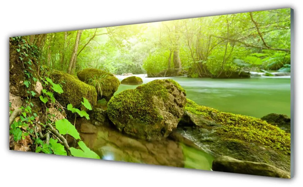 Obraz plexi Jazero kamene príroda 125x50 cm