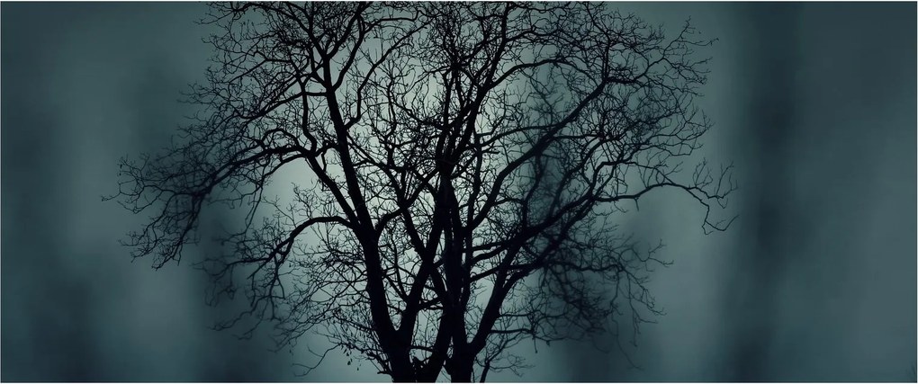 Obraz stromov pri zatmení (120x50 cm)