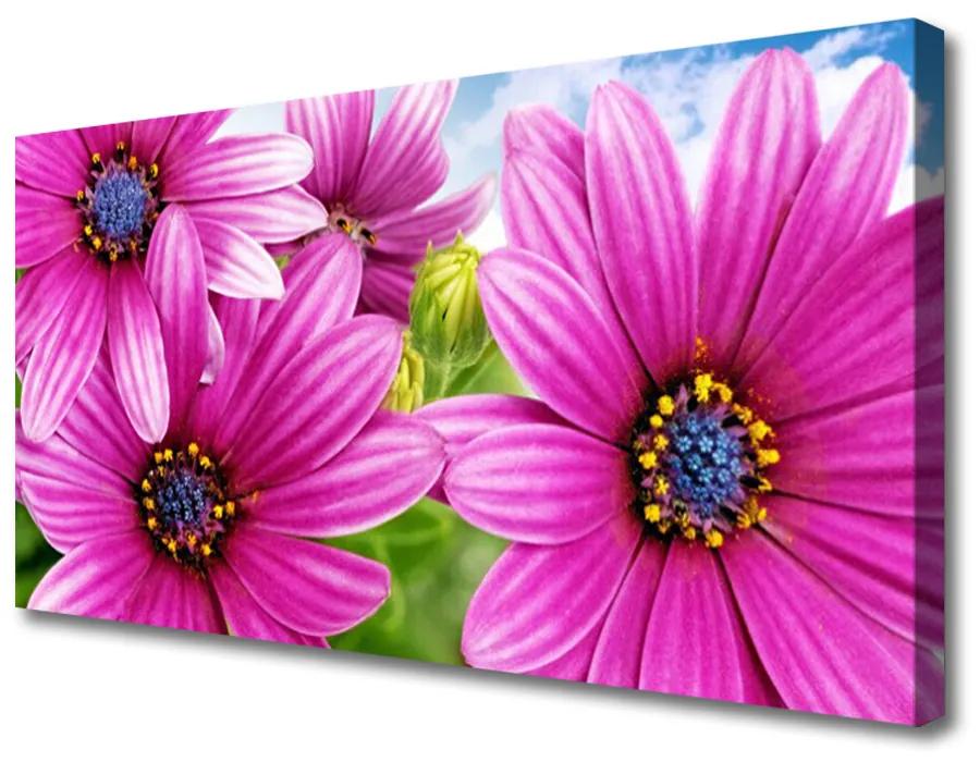 Obraz na plátne Kvety 100x50 cm