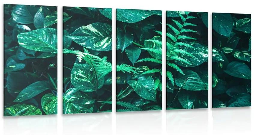 5-dielny obraz svieže tropické listy Varianta: 100x50