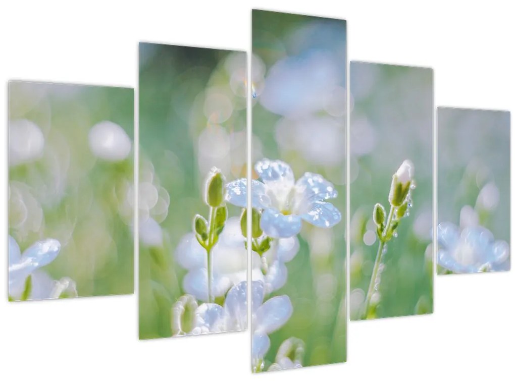 Obraz - Jemné kvety (150x105 cm)