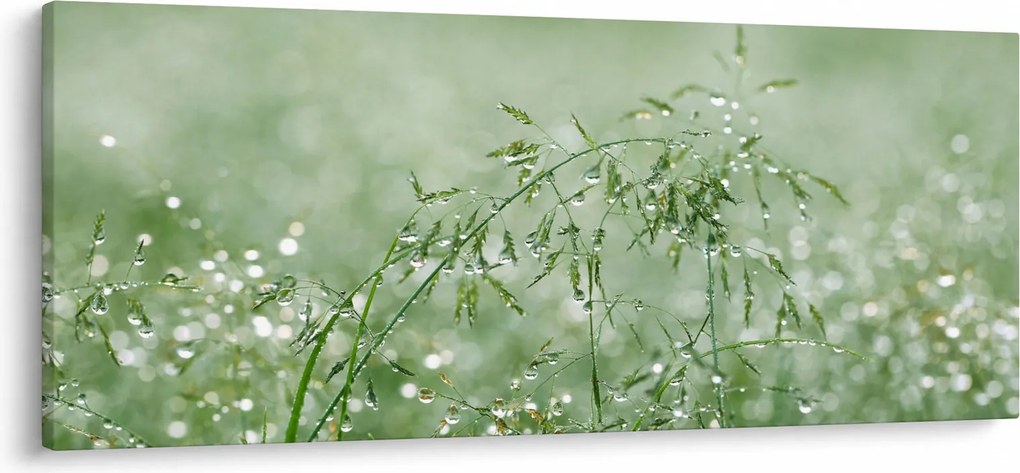 Obraz - Rosa v tráve (120x50 cm)