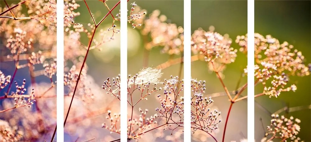 5-dielny obraz zátišie z kvetov Varianta: 100x50