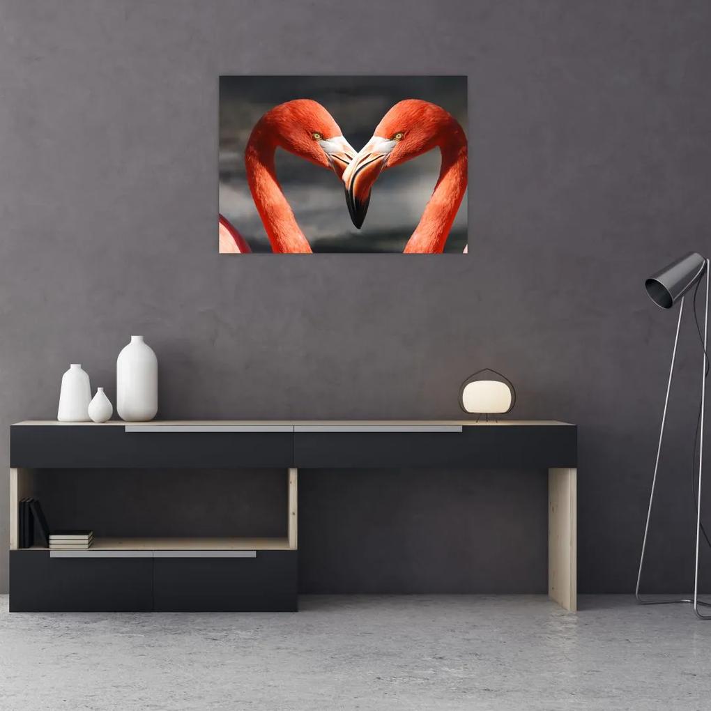 Obraz dvoch zamilovaných plameniakov (70x50 cm)