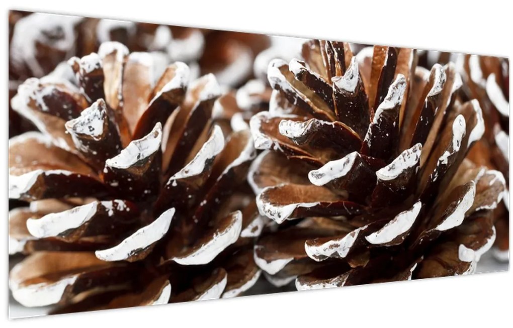 Obraz - Šišky (120x50 cm)