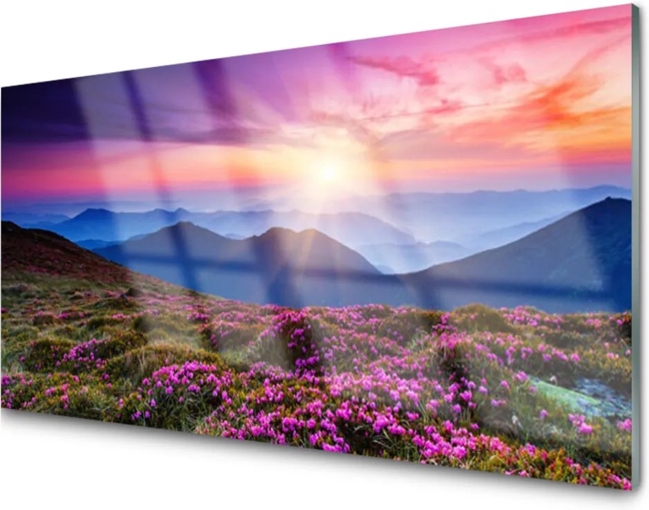 Obraz na akrylátovom skle Hora Lúka Kvety Príroda