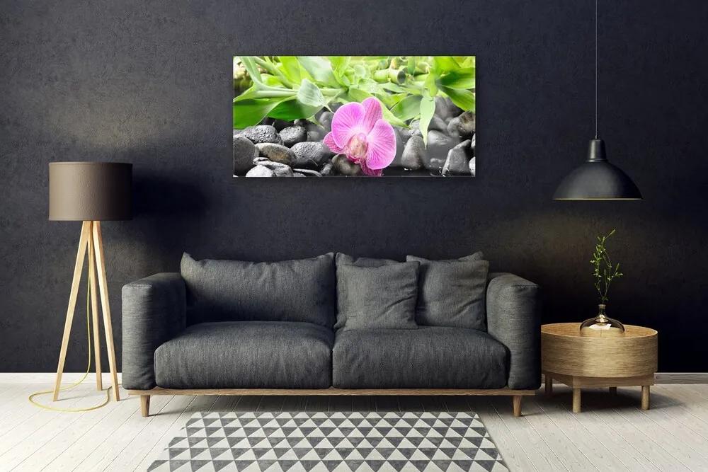 Skleneny obraz Kvety orchidea kamene zen 125x50 cm