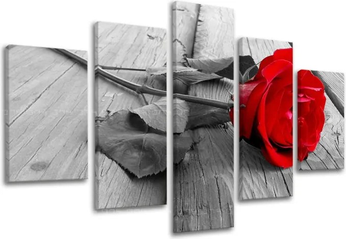 Obraz na stenu 5 dielny KVETY XOBKV115E50 - 100x80 cm