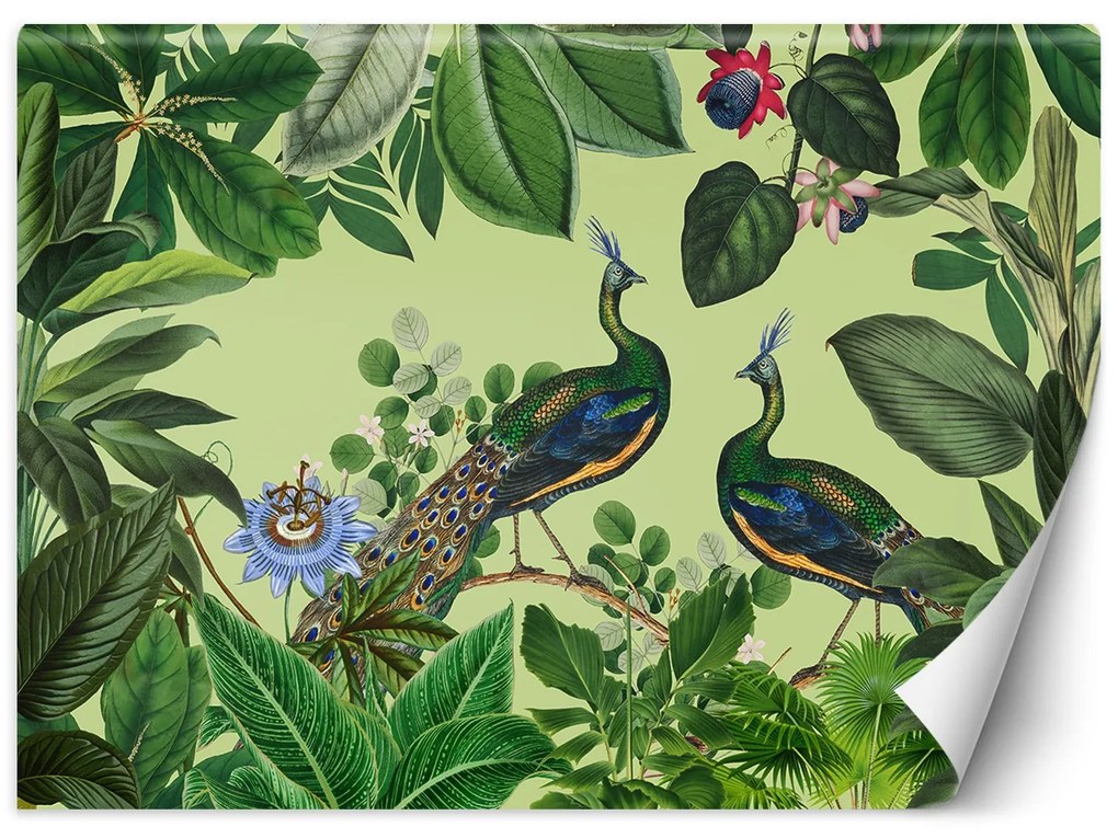 Gario Fototapeta Pávy v tropickom parku - Andrea Haase Materiál: Vliesová, Rozmery: 200 x 140 cm