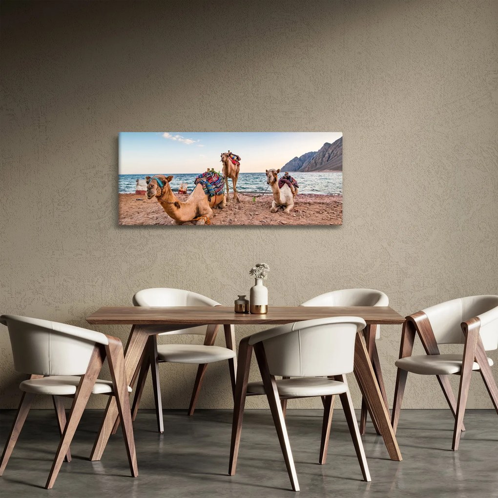 Obraz tiav (120x50 cm)