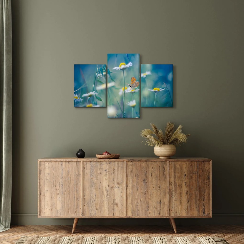 Obraz - Motýľ na sedmokráske (90x60 cm)