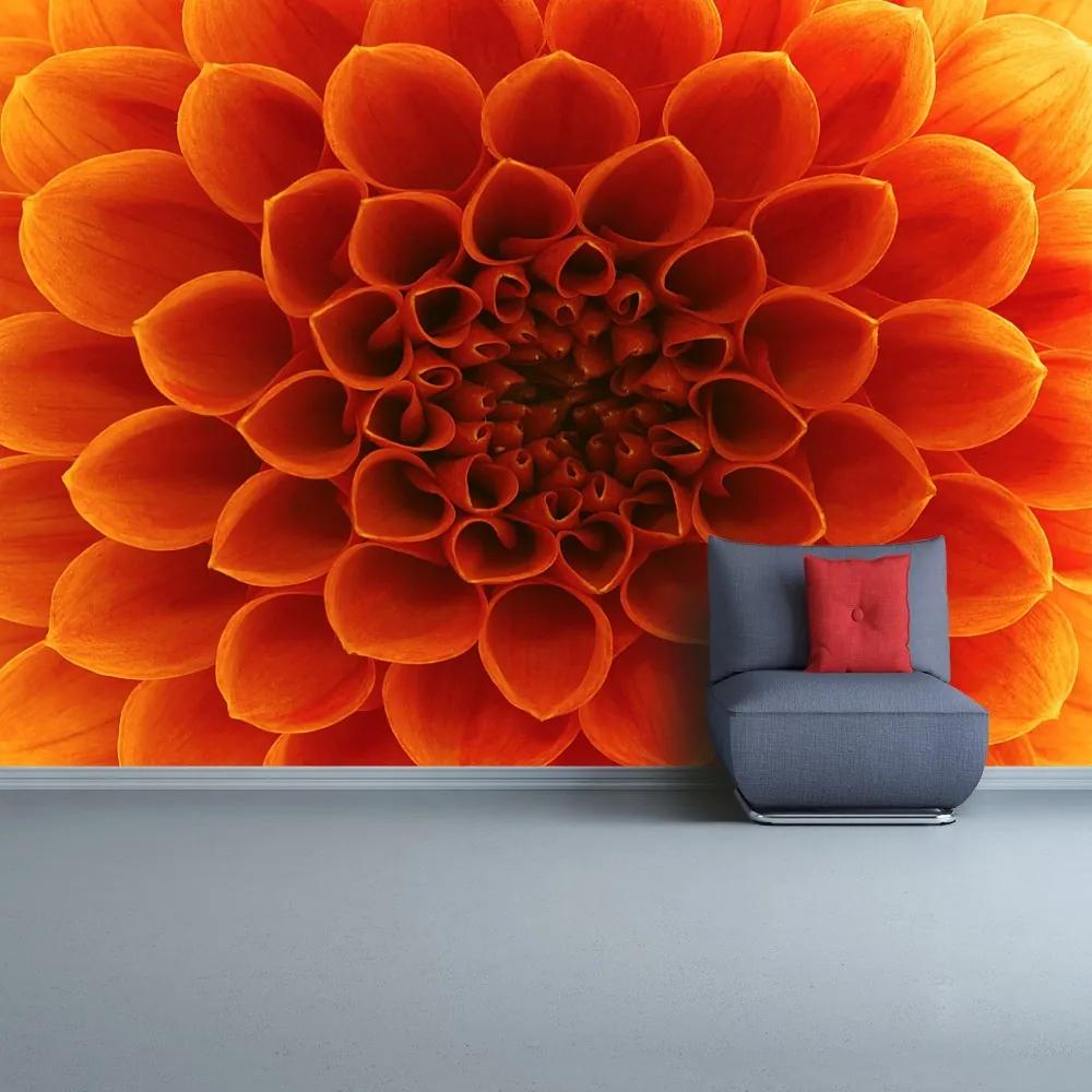 Fototapeta Vliesová Kvetina 104x70 cm