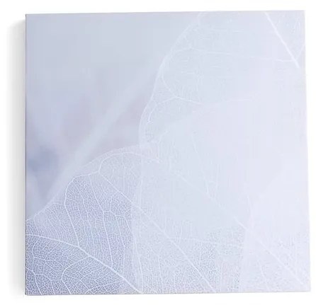 Akustický panel IMAGE, zimný list, 800x800 mm, šedá