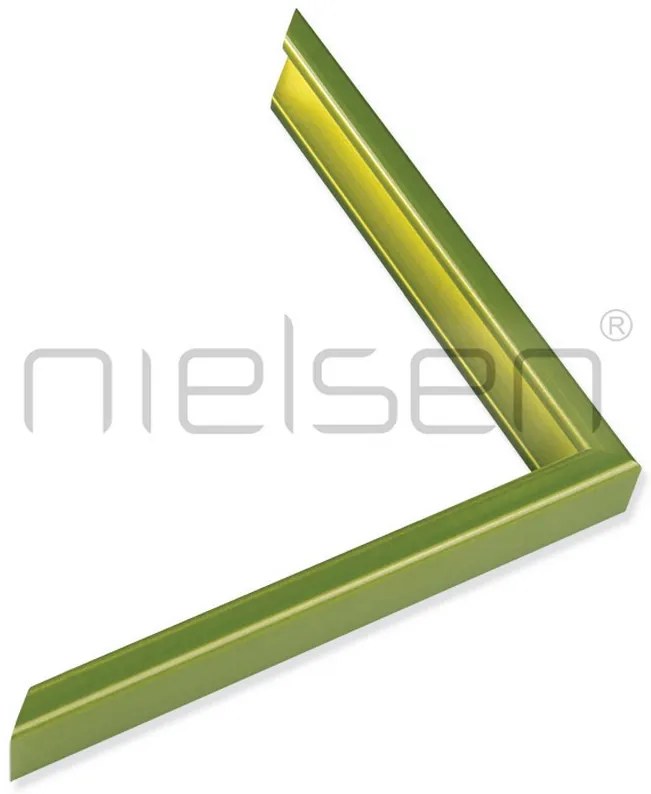DANTIK - Zrkadlo v rámu, rozmer s rámom 60x120 cm z lišty NIELSEN zelená (7269207)