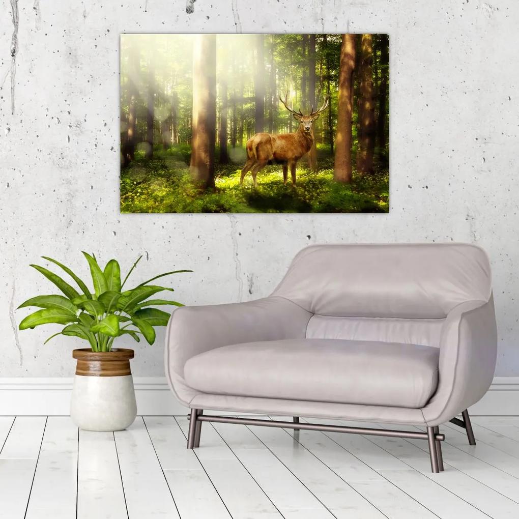 Obraz jeleňa v lese (90x60 cm)