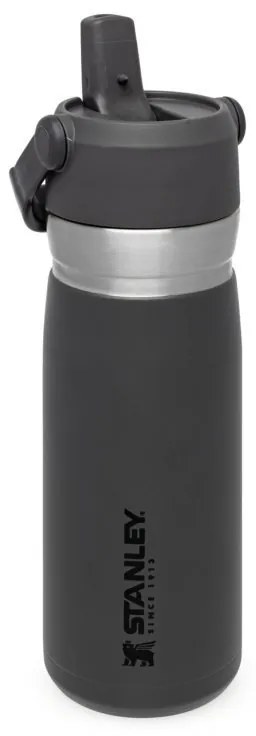 STANLEY vákuová fľaška GO FLIP STRAW 650 ml tmavo šedá 10-09697-008