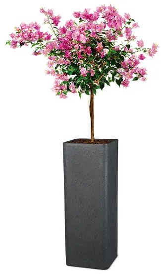 Scheurich Vysoký kvetináč Cube High, 26 x 26 x 70 cm (výška 70 cm, žula/čierna)  (100349932)