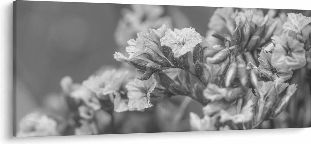 Obraz - Sušené kvety (120x50 cm)