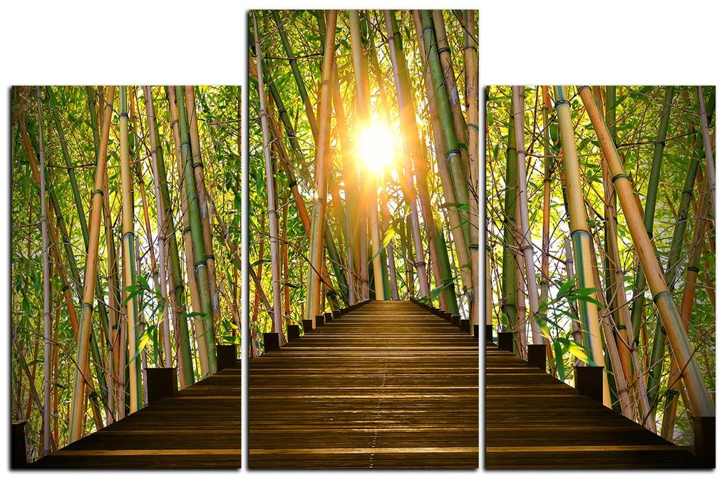 Obraz na plátne - Drevená promenáda v bambusovom lese 1172D (105x70 cm)