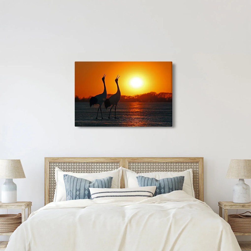 Obraz vtákov pri západe slnka (90x60 cm)