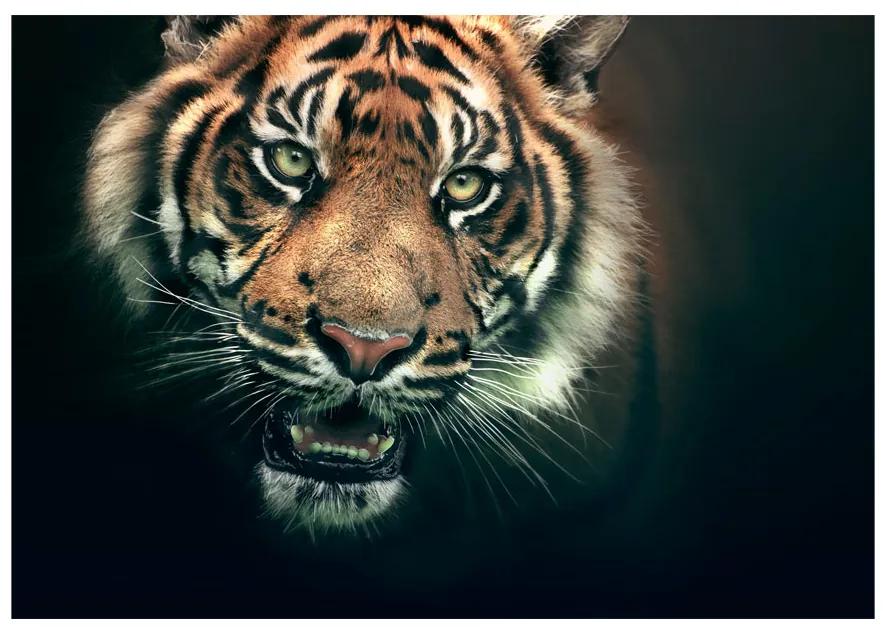 Artgeist Fototapeta - Bengal Tiger Veľkosť: 196x154, Verzia: Samolepiaca