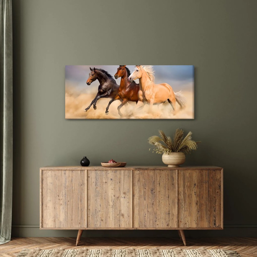 Obraz - Divé kone (120x50 cm)
