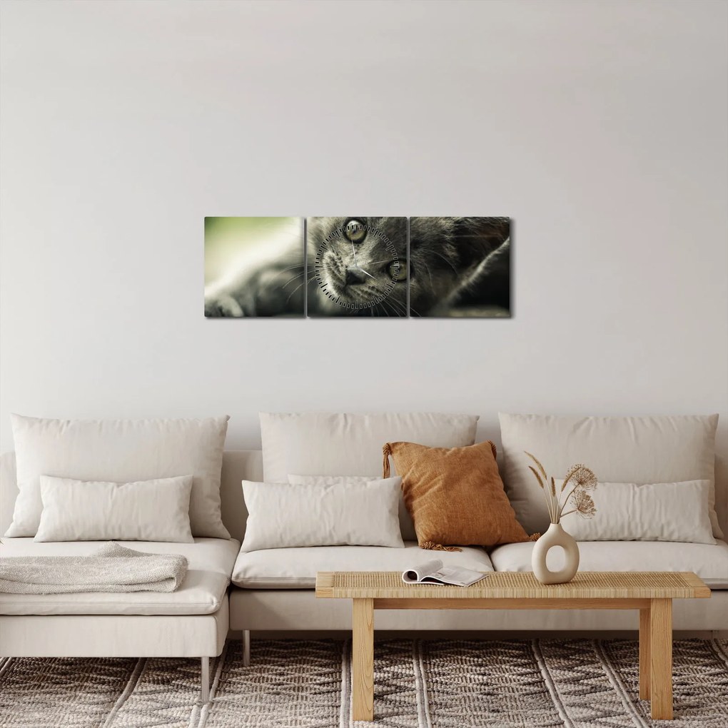 Obraz mačiatka (s hodinami) (90x30 cm)