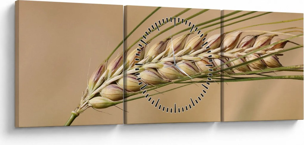 Obraz - Pšenica (s hodinami) (90x30 cm)