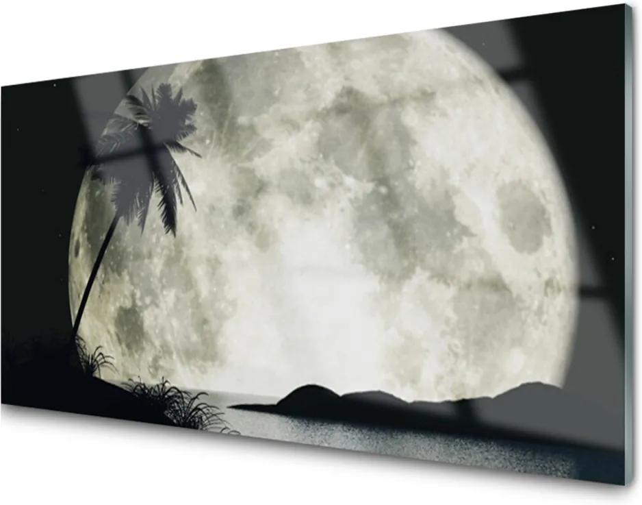 Obraz na skle Noc Mesiac Palma Krajina