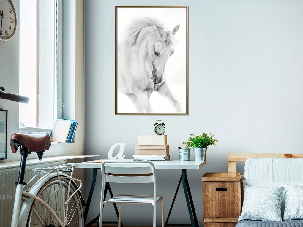 Artgeist Plagát - White Horse [Poster] Veľkosť: 20x30, Verzia: Čierny rám s passe-partout