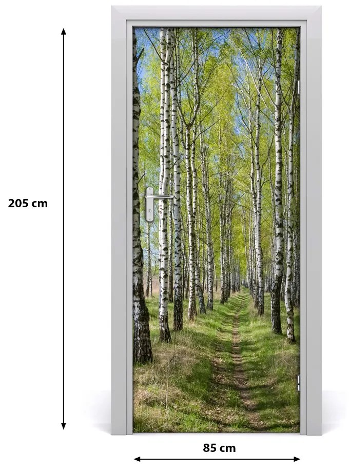 Fototapeta na dvere samolepiace Břízová les 85x205 cm