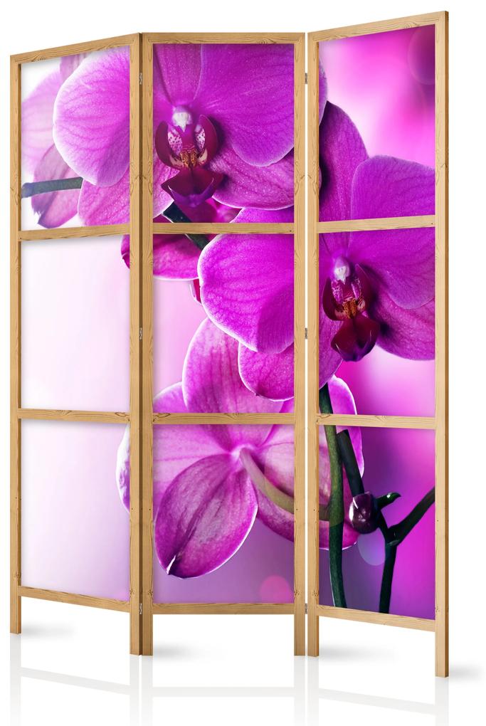 Artgeist Japonský paraván - Violet Orchids I Veľkosť: 135x161