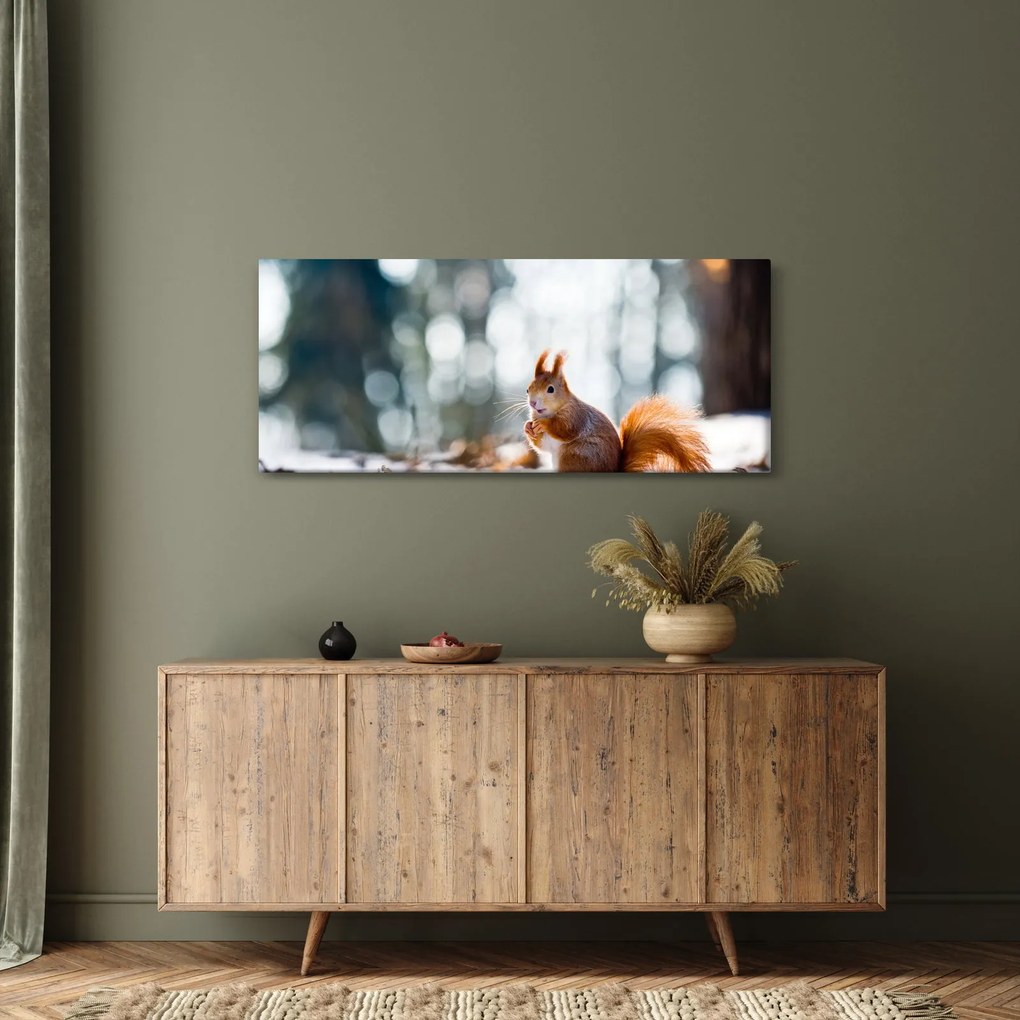 Obraz - Veverička (120x50 cm)