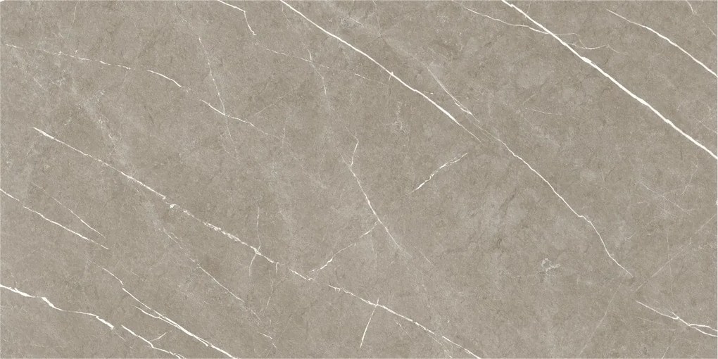 Dlažba Eternal Taupe Natural 60x120 R