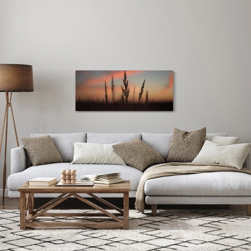 Obraz - Silueta rastliny (120x50 cm)
