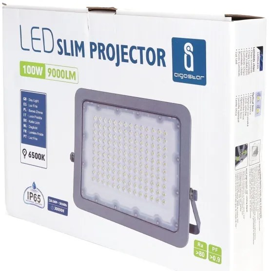 Aigostar - LED Reflektor LED/100W/230V šedá 6500K IP65