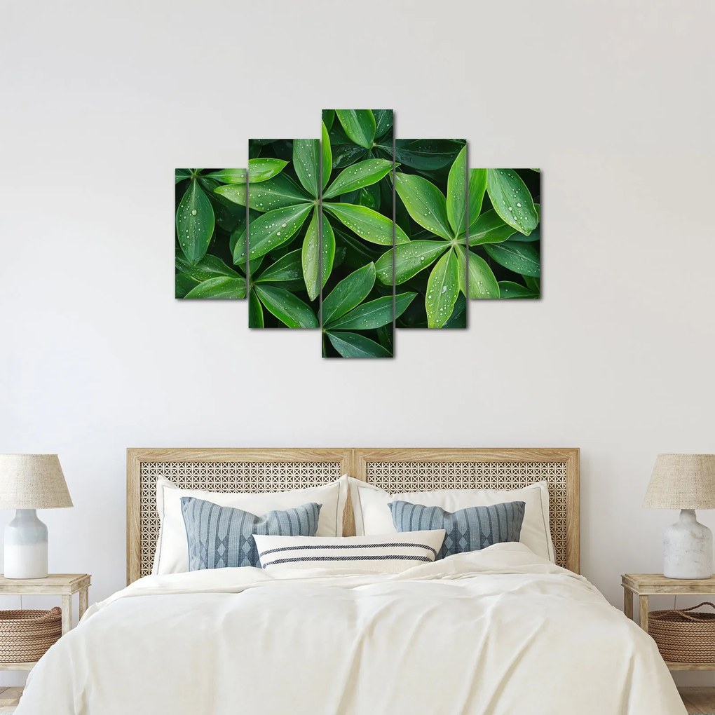 Obraz - Listy s kvapkami rosy (150x105 cm)
