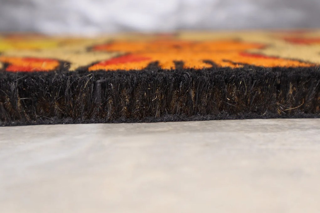 Trade Concept, Rohožka Kokos Tri mačky – na von aj na doma, 40x60, viacfarebná, chodba / predsieň