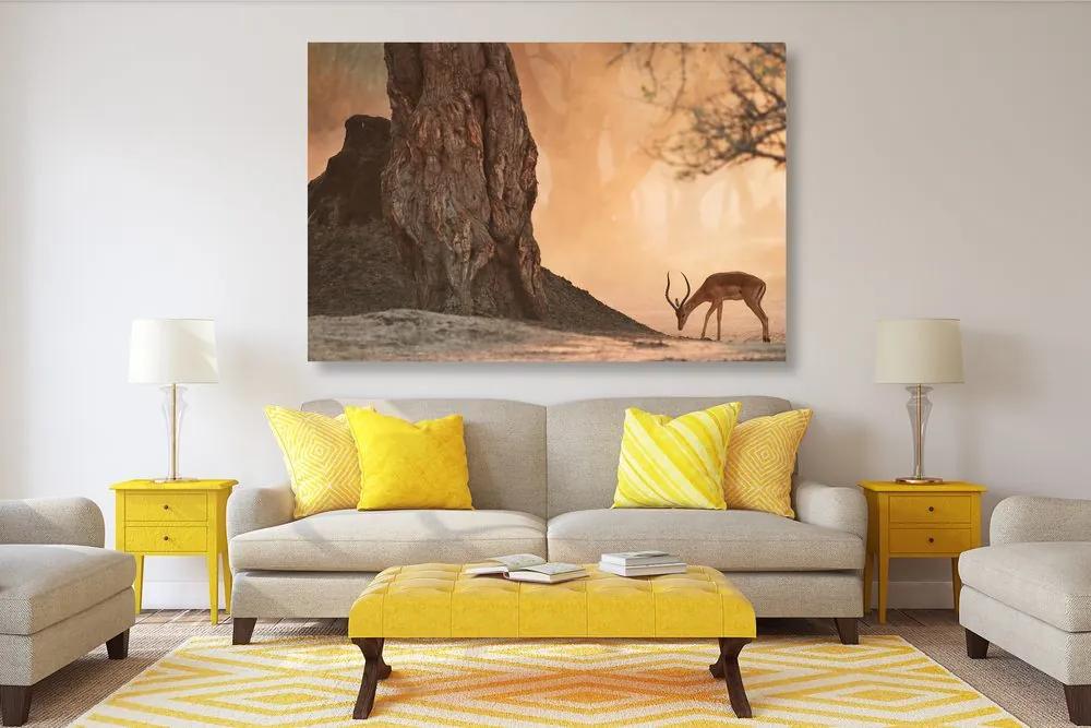 Obraz antilopa v africkej savane