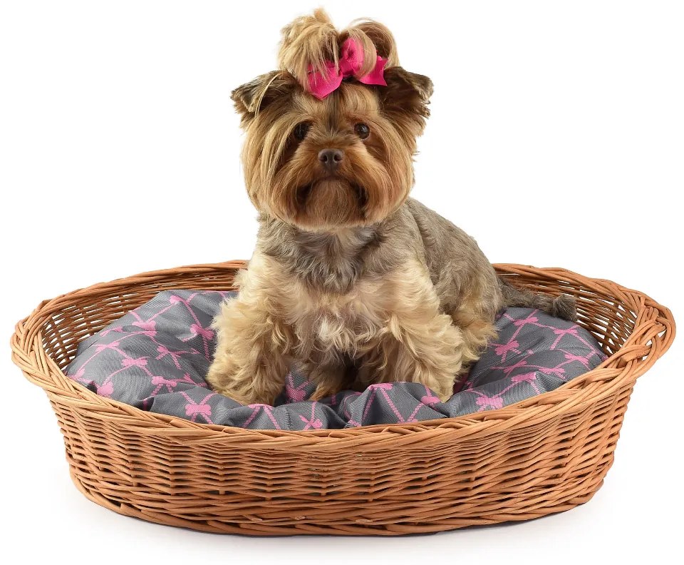 Pelech pre zvieratá poduška kostičkaš. 52 x hl. 39 x v. 12/14(cm)