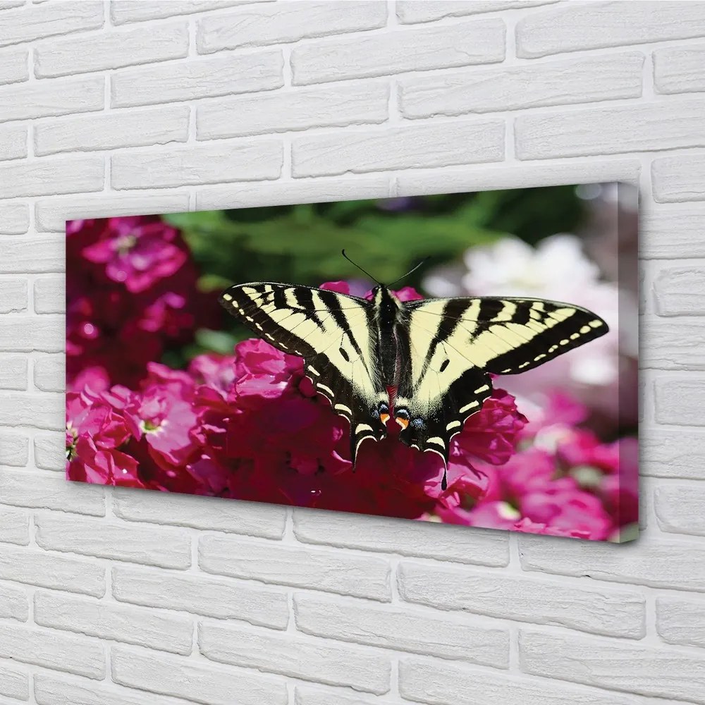 Obraz na plátne kvety motýľ 125x50 cm